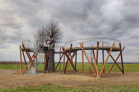 vyhlídka fajmonova lípa|Vyhlídkový chodník v korunách lip u Čisté – Kudy z nudy